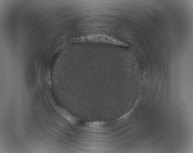 X0000080770182200701051311