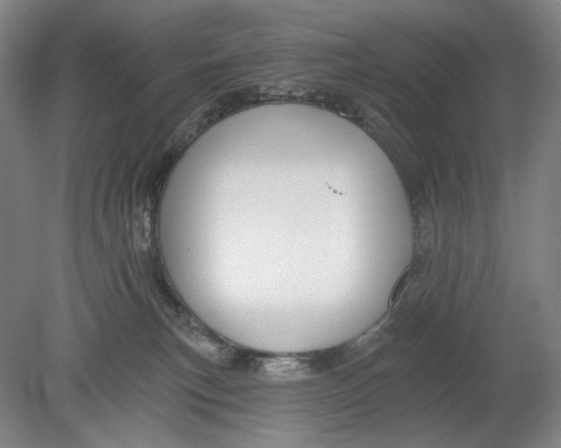 X0000080770183200701051311