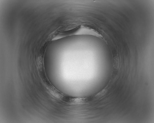 X0000080770184200701051311