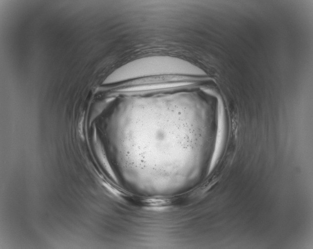 X0000080770185200701051311