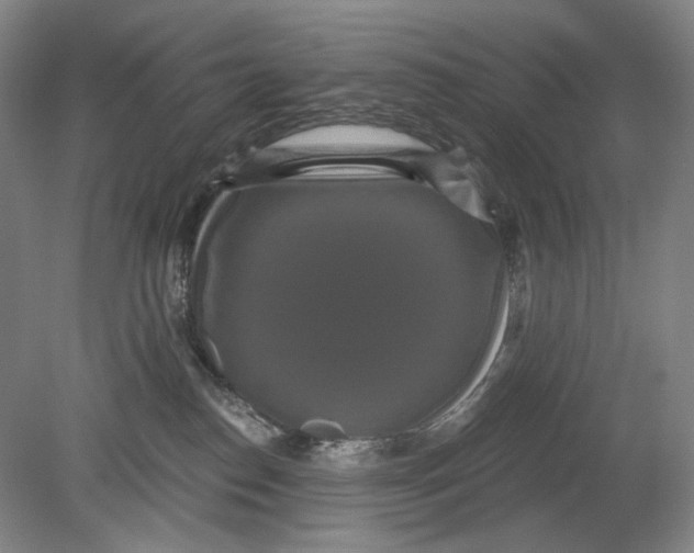 X0000080770186200701051311