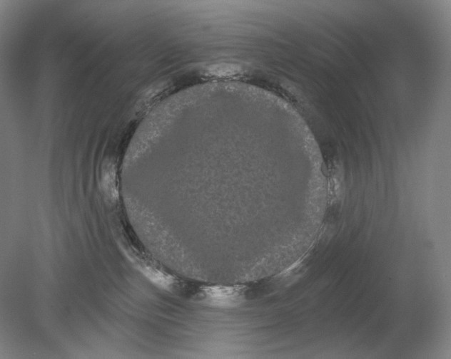 X0000080770187200701051311