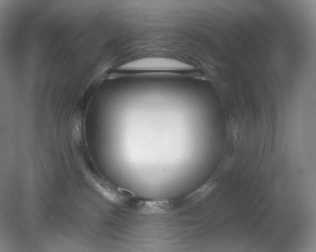 X0000080770188200701051311