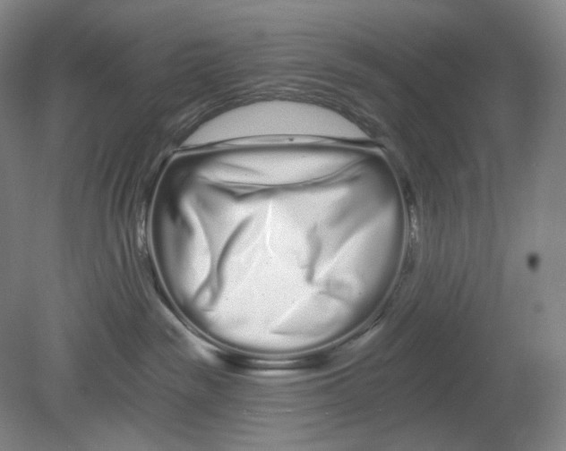 X0000080770189200701051311