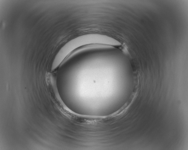 X0000080770190200701051311