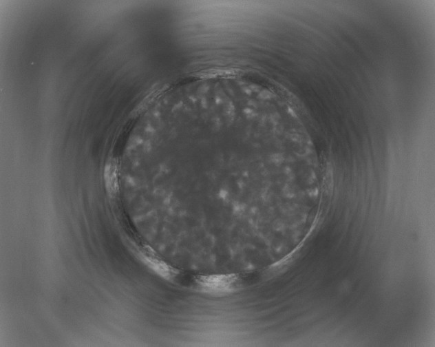 X0000080770191200701051311