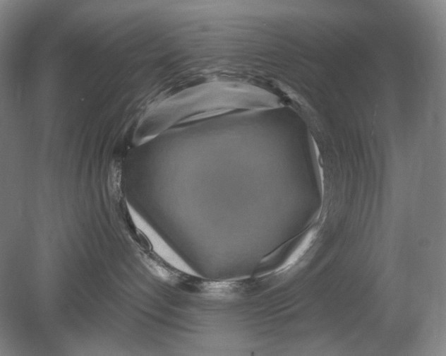 X0000080770192200701051311