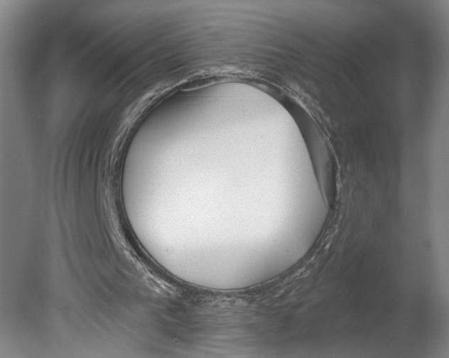 X0000080770193200701051310