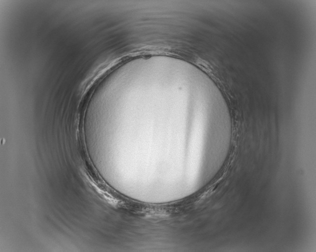 X0000080770194200701051310