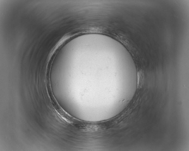 X0000080770195200701051310