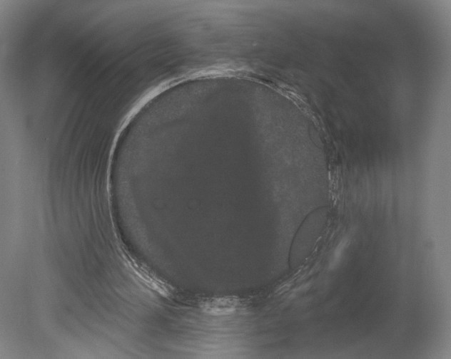 X0000080770196200701051310