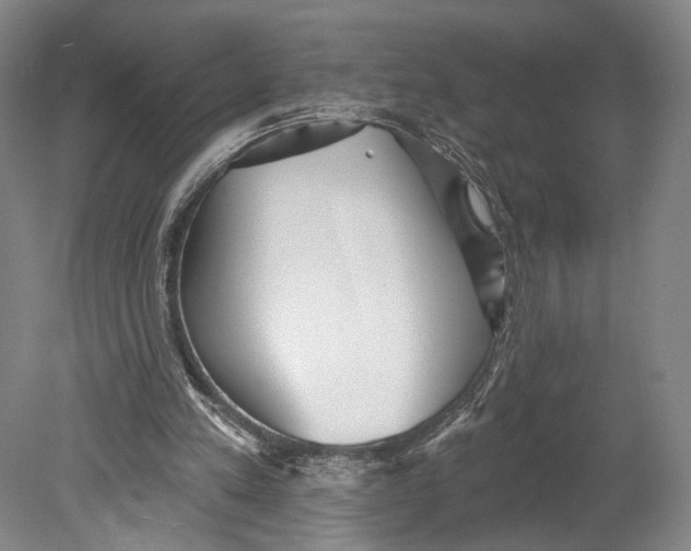 X0000080770197200701051310