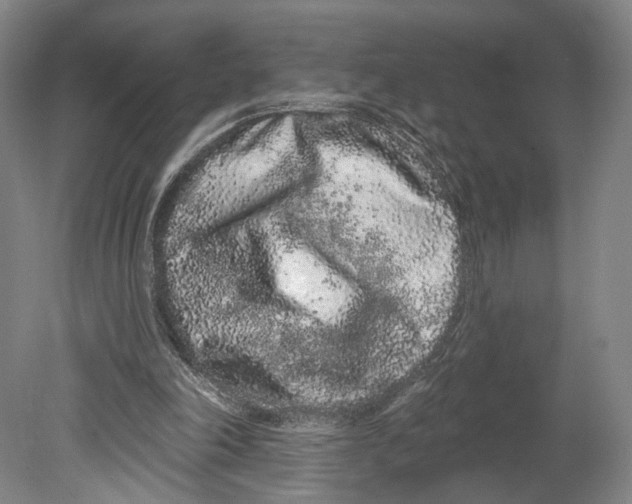 X0000080770198200701051310