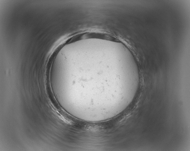 X0000080770199200701051310