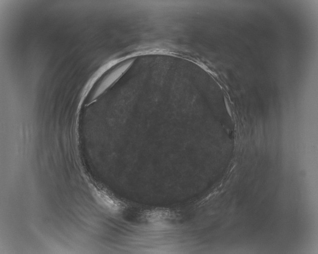 X0000080770200200701051310