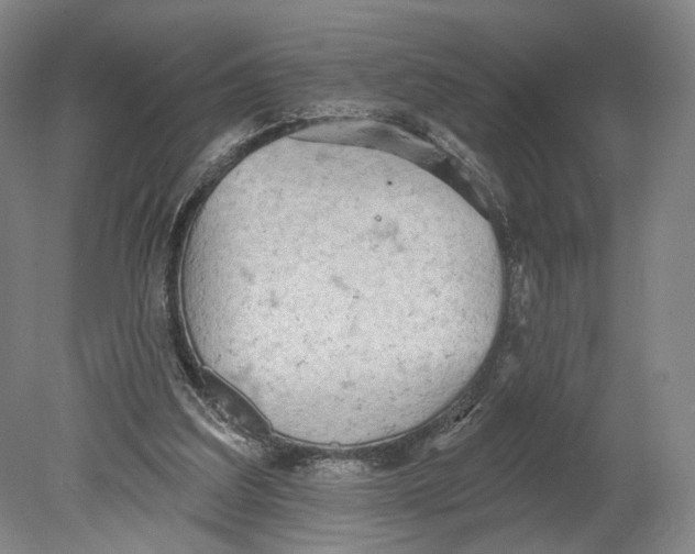 X0000080770203200701051310