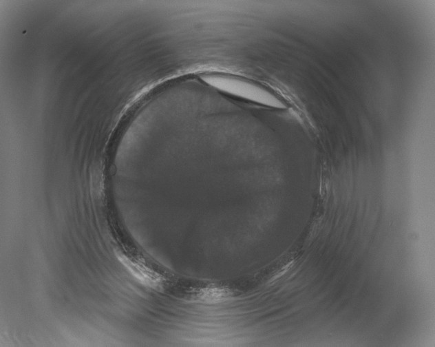 X0000080770204200701051310