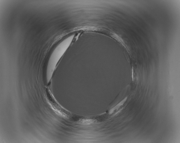 X0000080770205200701051310