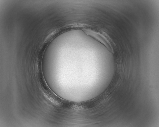 X0000080770207200701051310