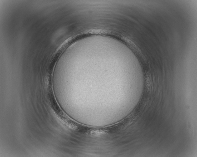 X0000080770208200701051310