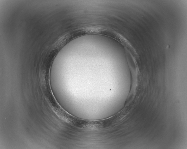 X0000080770209200701051310