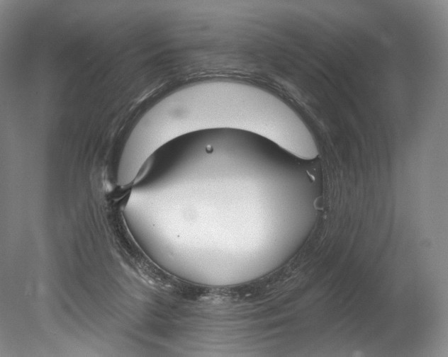 X0000080770211200701051310