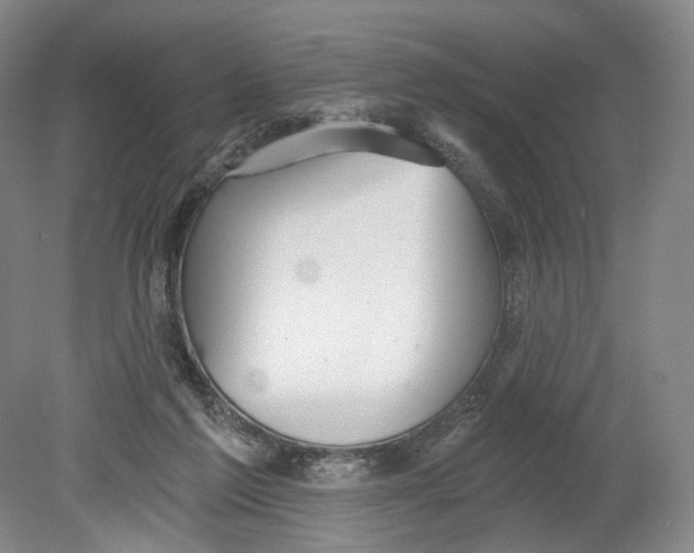 X0000080770213200701051310