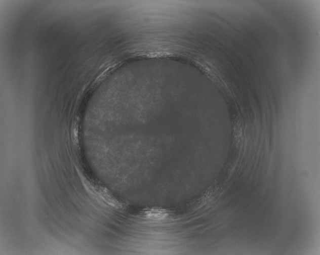 X0000080770214200701051310