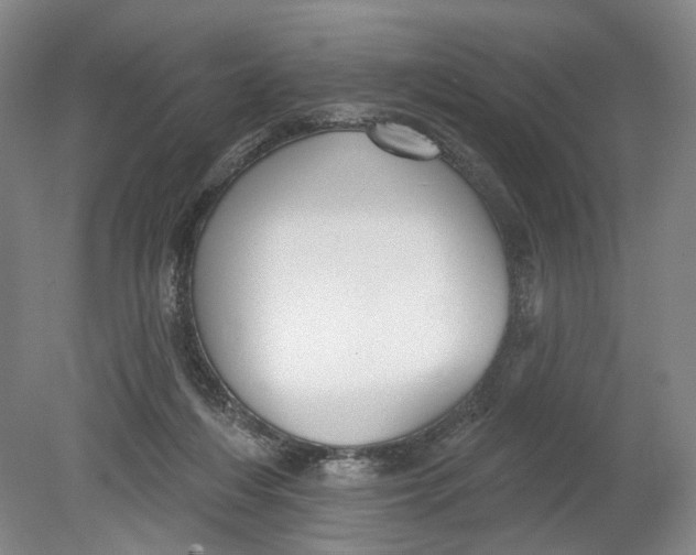 X0000080770216200701051310