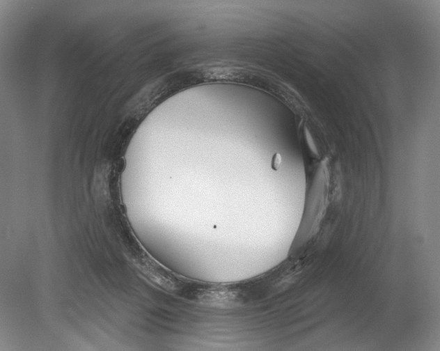 X0000080770217200701051310