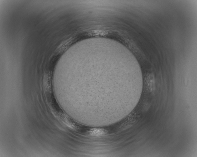 X0000080770218200701051310