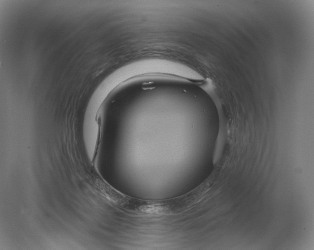 X0000080770219200701051310