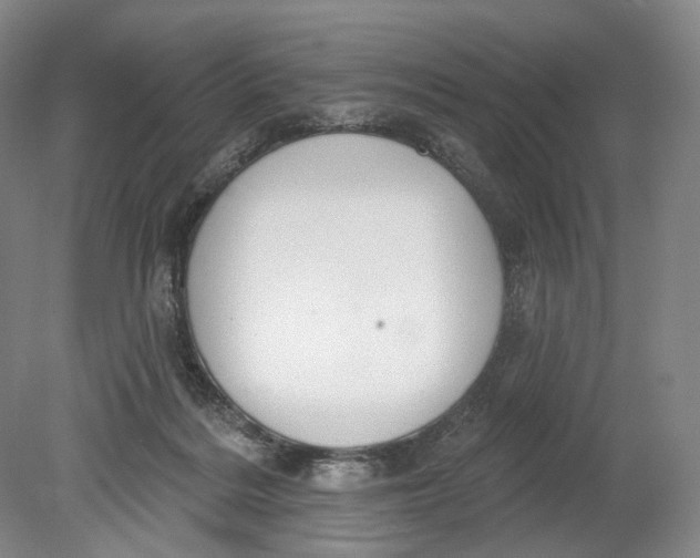 X0000080770220200701051310