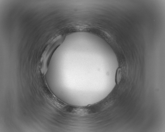 X0000080770221200701051310