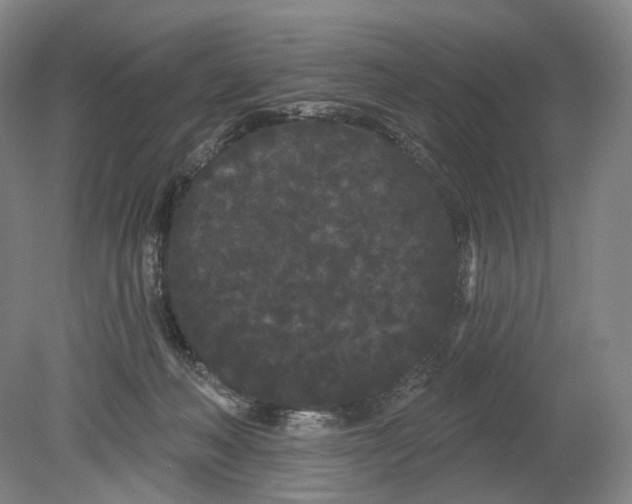 X0000080770222200701051310