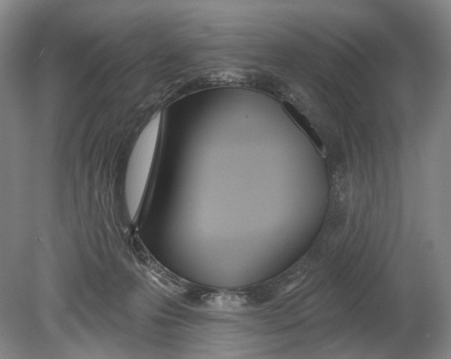 X0000080770223200701051310