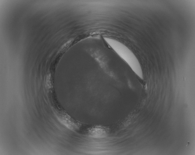 X0000080770224200701051310