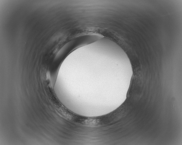 X0000080770225200701051310