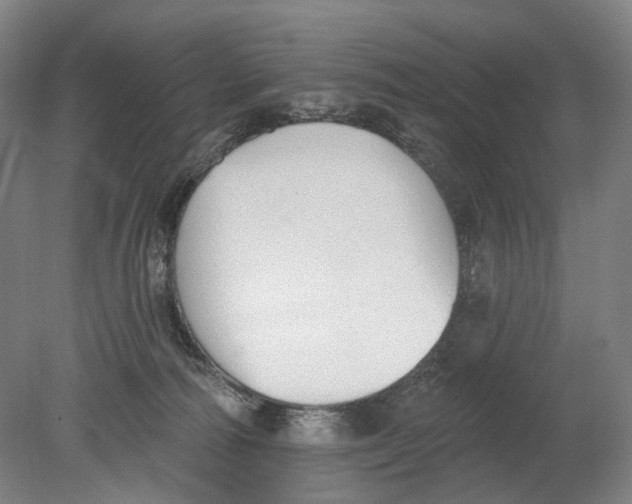 X0000080770226200701051310