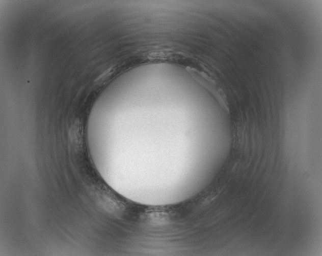 X0000080770228200701051310