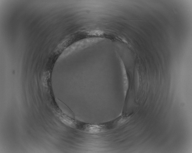 X0000080770229200701051310