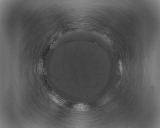 X0000080770231200701051310