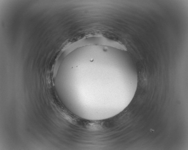 X0000080770232200701051310