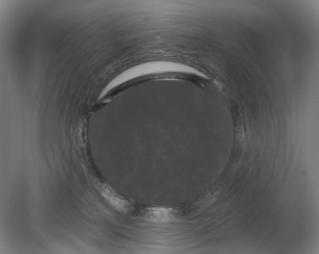 X0000080770233200701051310