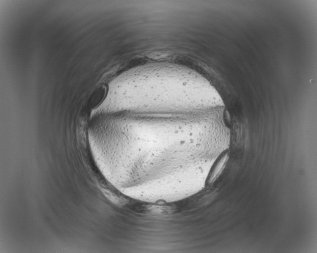 X0000080770234200701051310