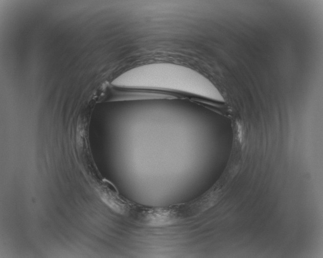 X0000080770235200701051310