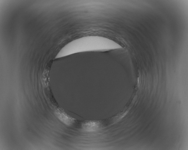 X0000080770237200701051310