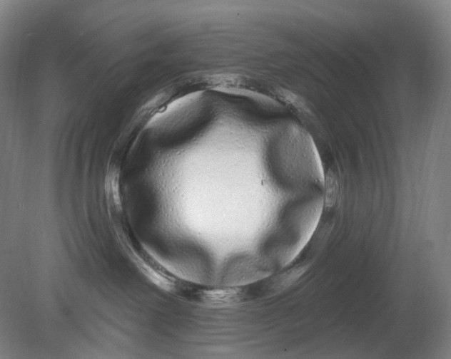 X0000080770238200701051310