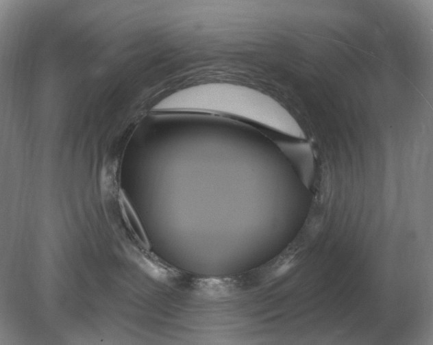 X0000080770239200701051310