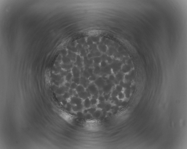 X0000080770240200701051310